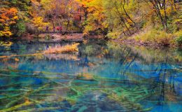 Hình ảnh có liên quan