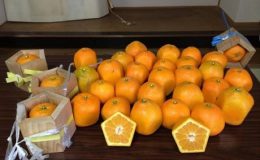 Kết quả hình ảnh cho Cam ngũ giác