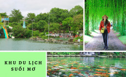 KDL-Suoi-Mo