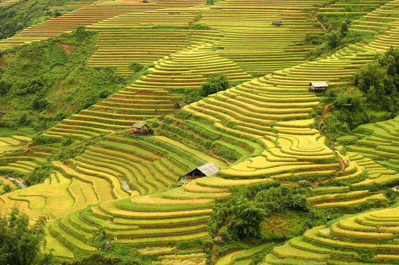 du-lich-tay-bac-mu-cang-chai-2