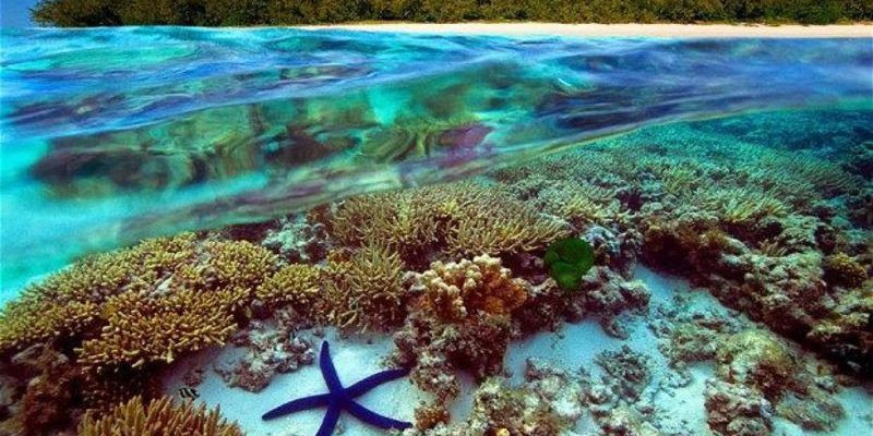 Rạn san hô Great Barrier Reef