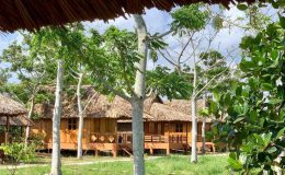 Mekong Daniel’s Homestay&nbsp;