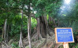 Top 5 điểm “tự sướng” cực chất khi du lịch hè Đà Nẵng - ảnh 1