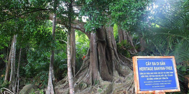 Top 5 điểm “tự sướng” cực chất khi du lịch hè Đà Nẵng - ảnh 1