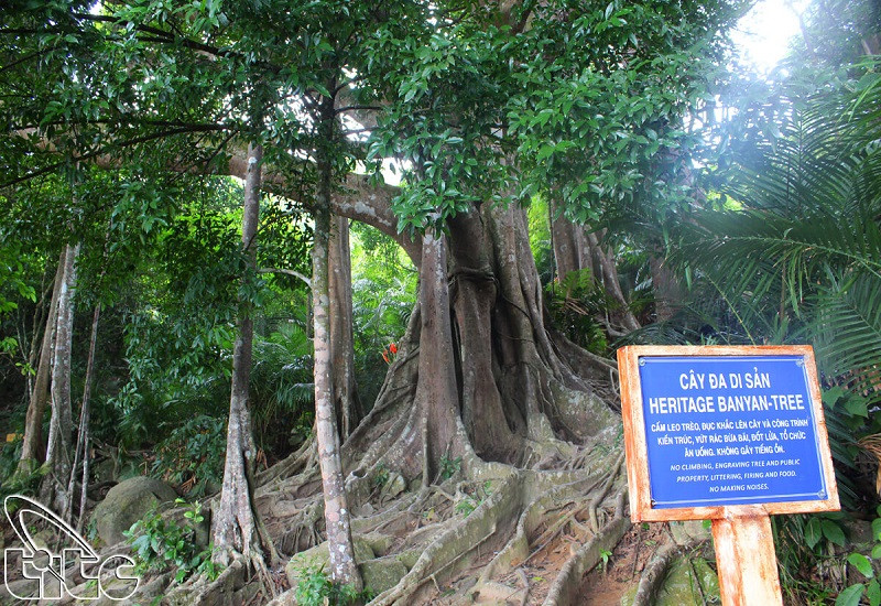 Top 5 điểm “tự sướng” cực chất khi du lịch hè Đà Nẵng - ảnh 1