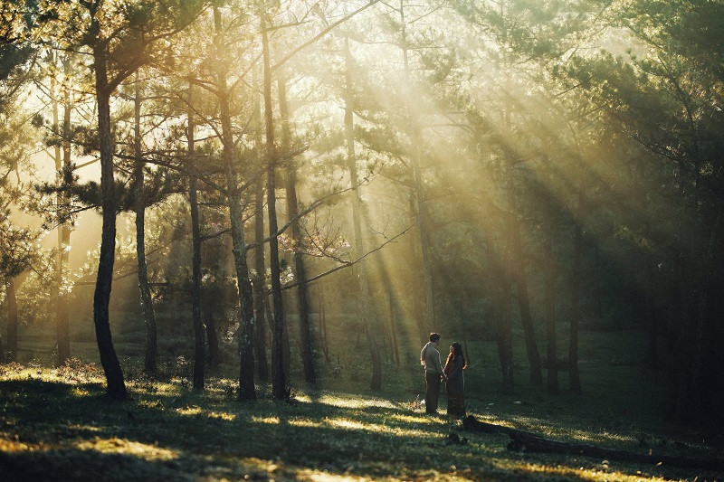 Sự lâm ly bi đát chính là lý nơi đây bị gắn mác đi du lịch Đà Lạt sẽ chia tay.