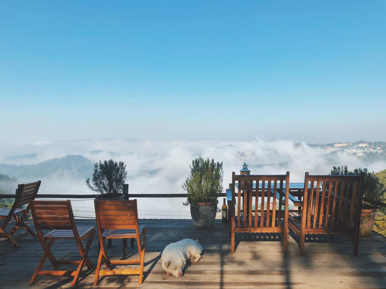 “Đi du lịch Đà Lạt xong về là chia tay” là câu truyền miệng của nhiều cặp đôi