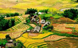 sapa-mua-thu
