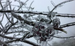 Khí hậu mùa đông Hà Giang