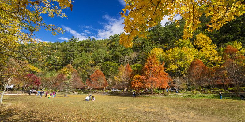 Khung cảnh mùa thu Đài Loan